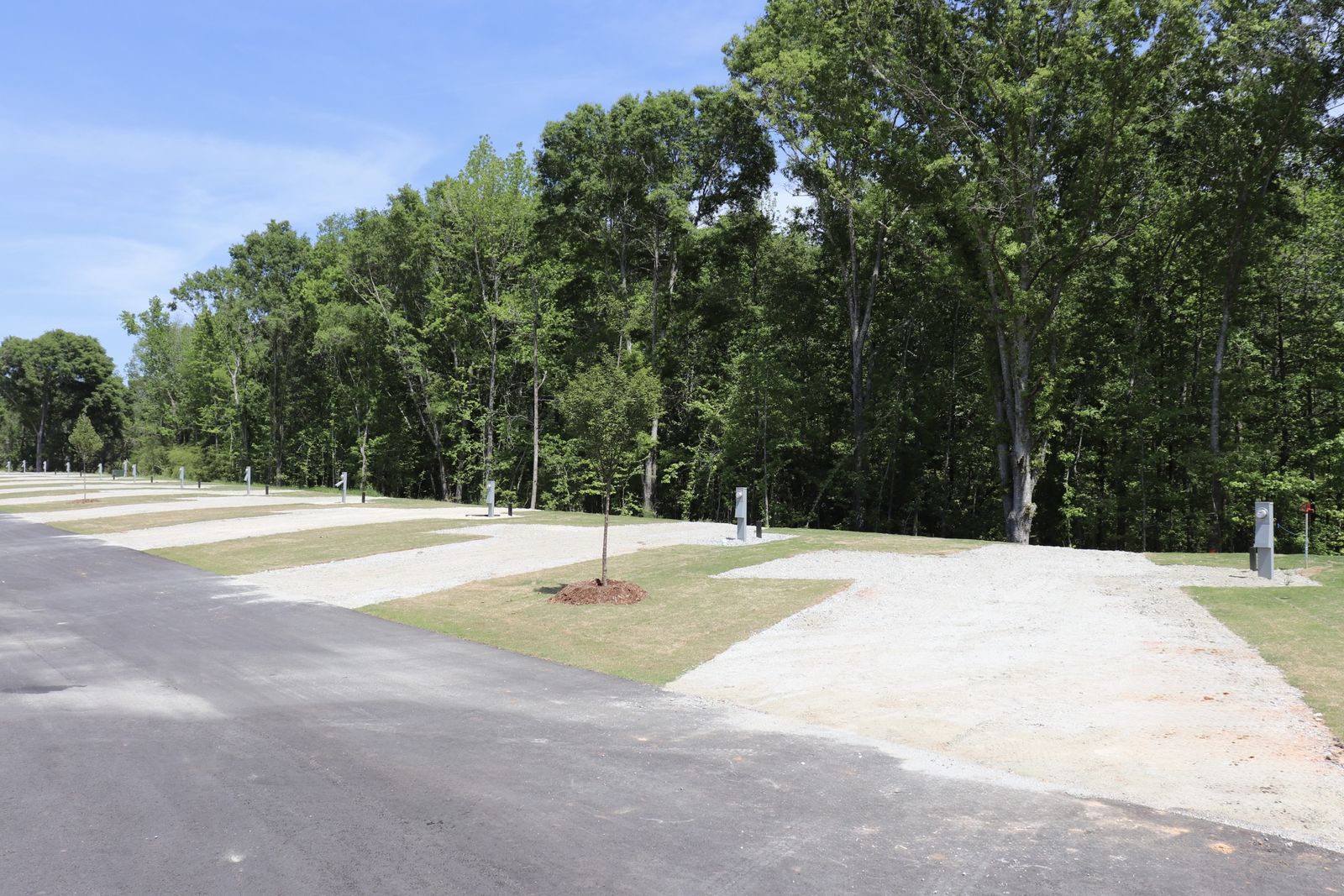 Gravel RV sites with hookups along the tree line